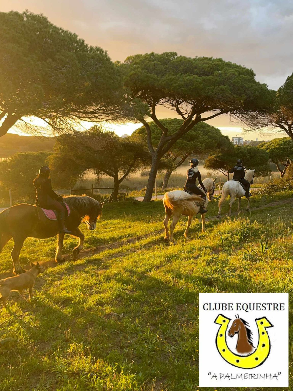 Horseback riding through the sunny countryside in the Algarve
