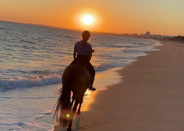 Galloping on a horse on a beautiful beach at sunset